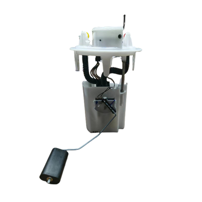 Auto Parts Fuel Pump Assembly For Peugeot Citroen OE 9805932380 9805932480 9821868280 9816844380